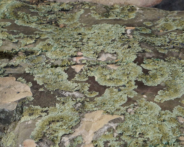 Fieldstone Weathered Boulders - Image 3