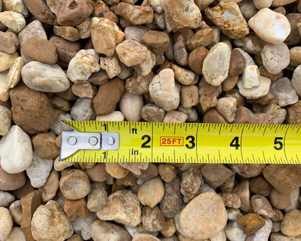 Gold Pea Gravel