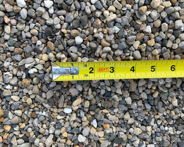 Gray Pea Gravel Small #12