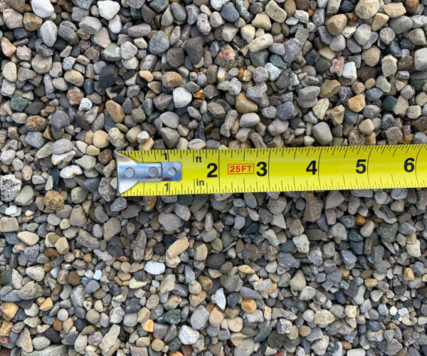 Gray Pea Gravel Small #12