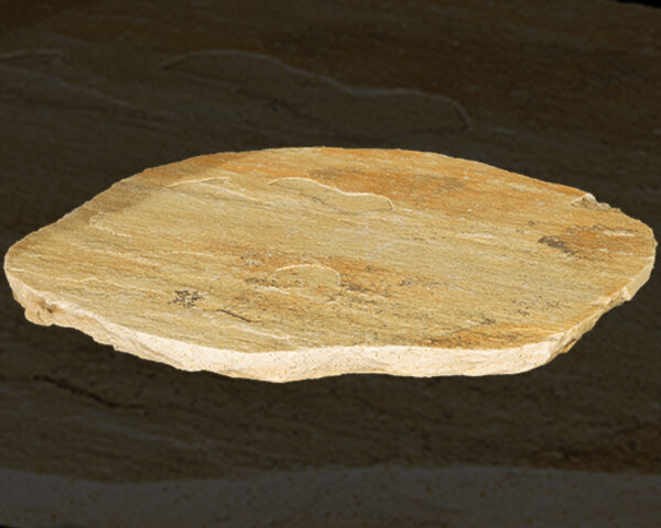 Fossil Rustic Steppers