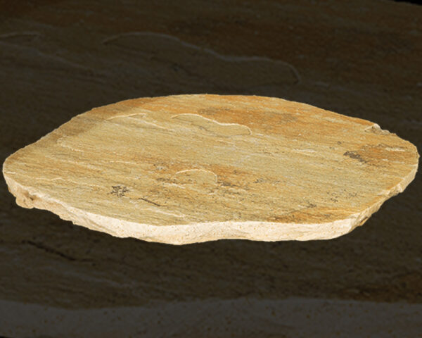 Fossil Rustic Steppers - Image 2